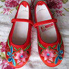 Girl's Lily Embroidery Shoes (Multicolor)