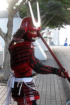 Samurai Armour (CM)