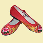 Dragon & Phoenix Embroidery Shoes (Multicolor)