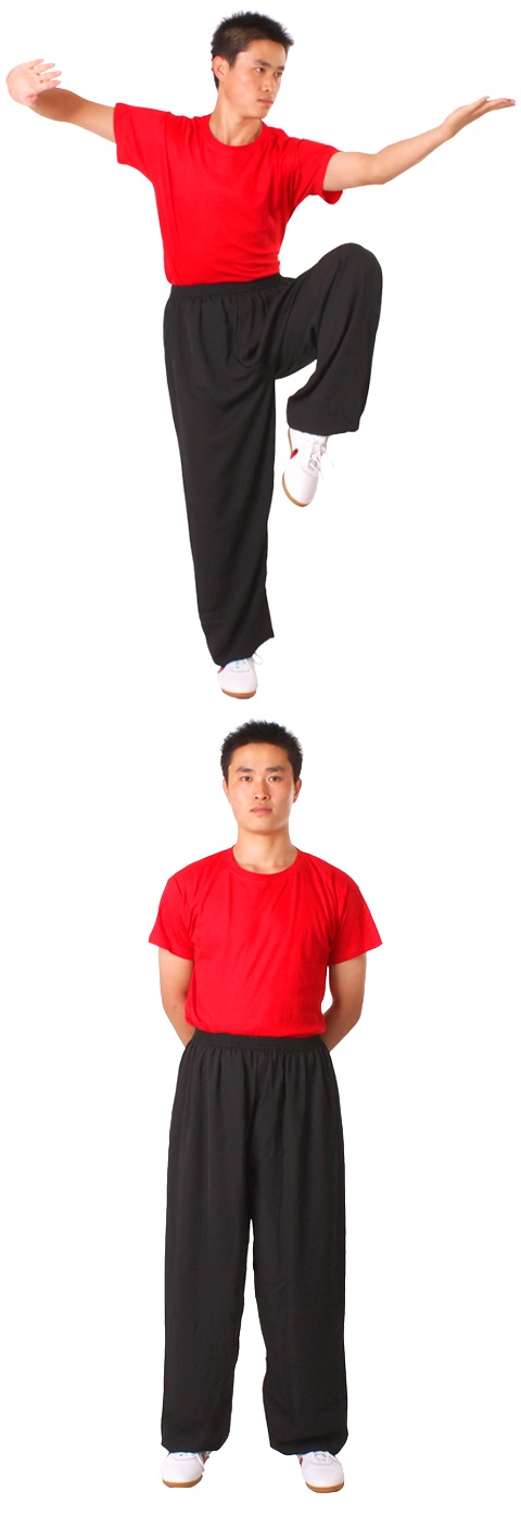 Taichi Kungfu Pants - Rhombic Linen - Black (RM)