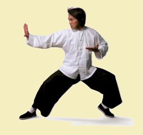 Mandarin Collar Folding-cuff Kung Fu Suit (CM)
