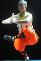 Shaolin Kung Fu Vest (RM)