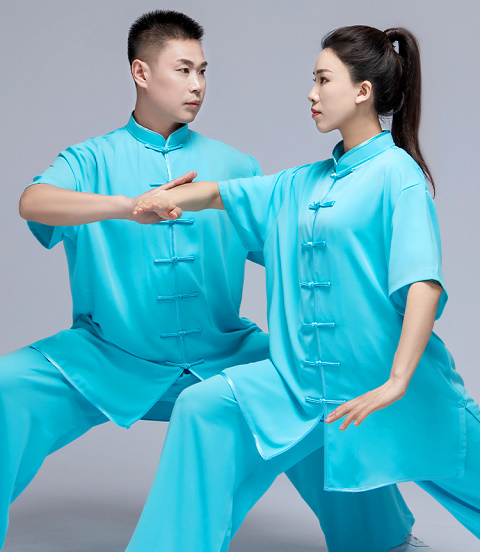 Professional Short-sleeve Cotton/Silk Taichi Kungfu Uniform (RM)