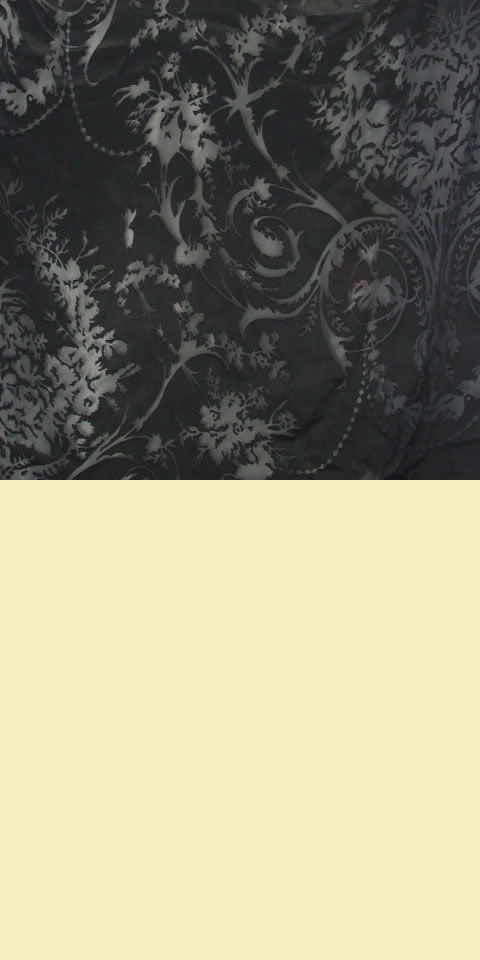 Fabric - See-through Embroidery Silk Velvet Gauze (Black)