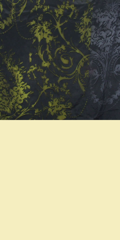 Fabric - See-through Embroidery Silk Velvet Gauze (Black)