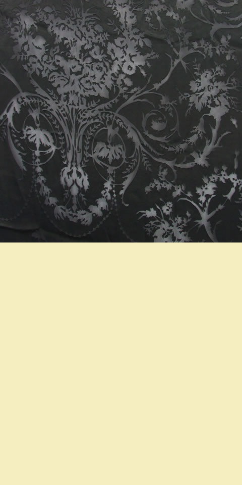 Fabric - See-through Embroidery Silk Velvet Gauze (Black)