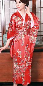 Japanese Kimono (RM)