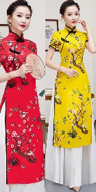 Magnificent Vietnamese National Outfit - Aodai (RM/CM)
