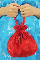 Mini Handbag (Multicolor)