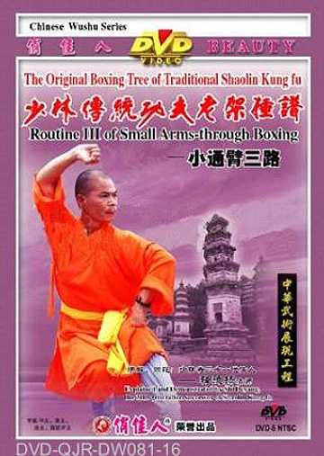 Shaolin Small Arm-through Fist III