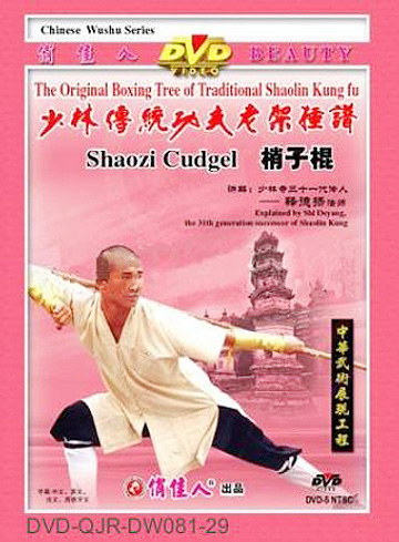 Shaolin Two-sectional Staff