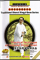 Practical Technique of Hunyun Xingyi Quan