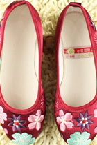 Delicate Floral Embroidery Shoes (RM)