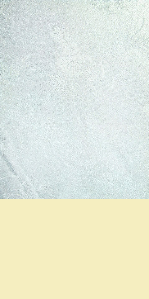 Fabric - Jacquard