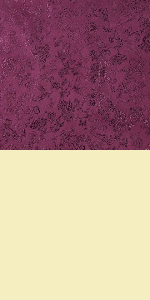Fabric - Dense Dragon Brocade (Multicolor)