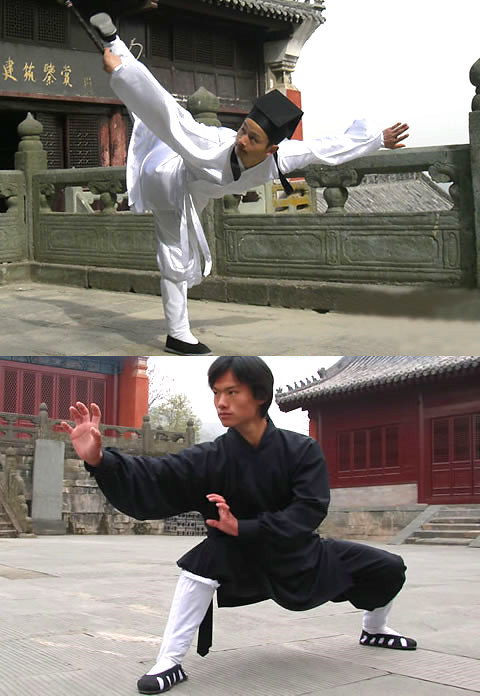 Wudang Taoist Socks (CM)