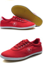 Wushu/TaiChi Practice Sneakers (Canvas)