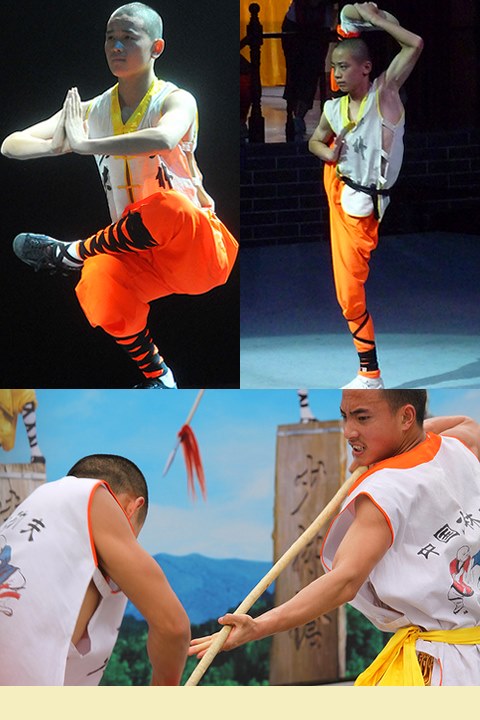 Shaolin Kung Fu Vest (RM)