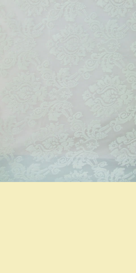 Fabric - See-through Embroidery Velvet Gauze (White)