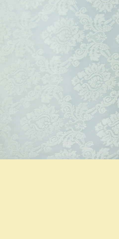 Fabric - See-through Embroidery Velvet Gauze (White)
