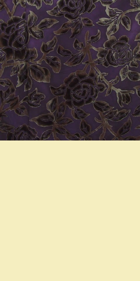 Fabric - See-through Embroidery Silk Velvet Gauze