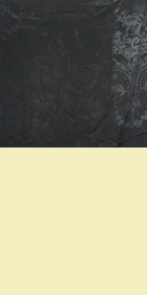 Fabric - See-through Embroidery Silk Velvet Gauze (Black)