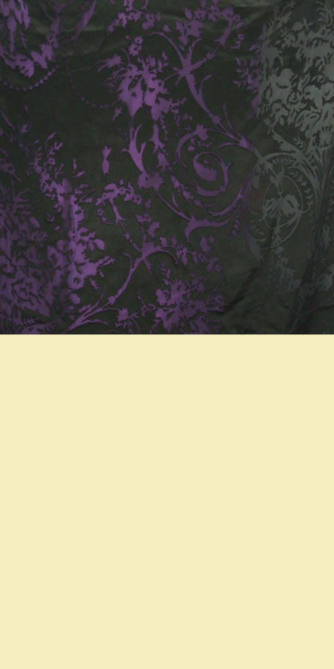 Fabric - See-through Embroidery Silk Velvet Gauze (Black)