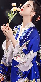 Japanese Kimono