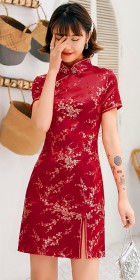 Short-sleeve Short Brocade Cheongsam Dress (RM)