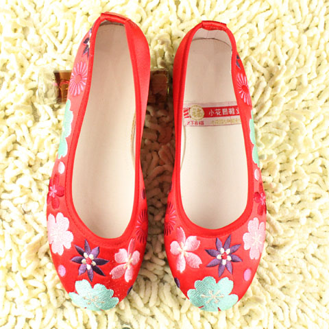 Delicate Floral Embroidery Shoes (RM)