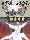 Taichi | Kungfu | Shaolin | Wudang